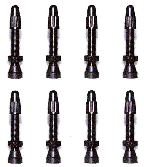 Tubeless Ventile - Paar